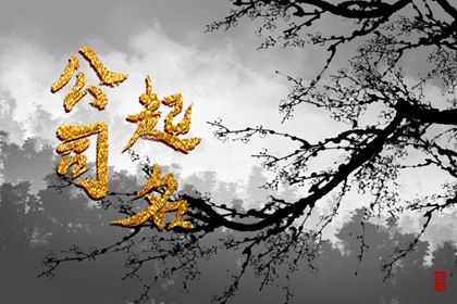 喜用神与选字方向